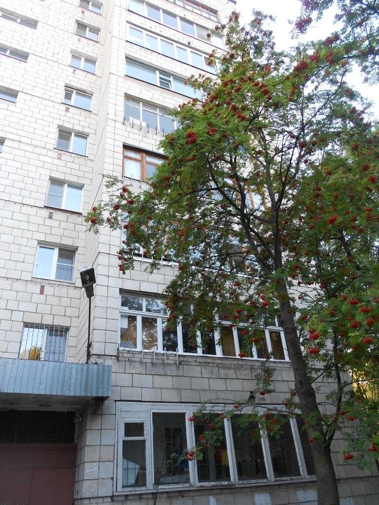 обл. Костромская, р-н. Костромской, г. Кострома, ул. Никитская, д. 74-фасад здания