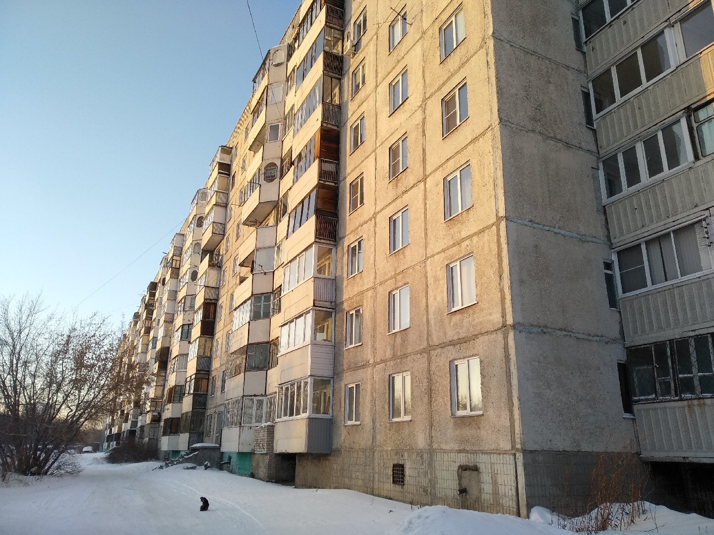 край. Алтайский, г. Барнаул, ул. Чеглецова, д. 66-фасад здания
