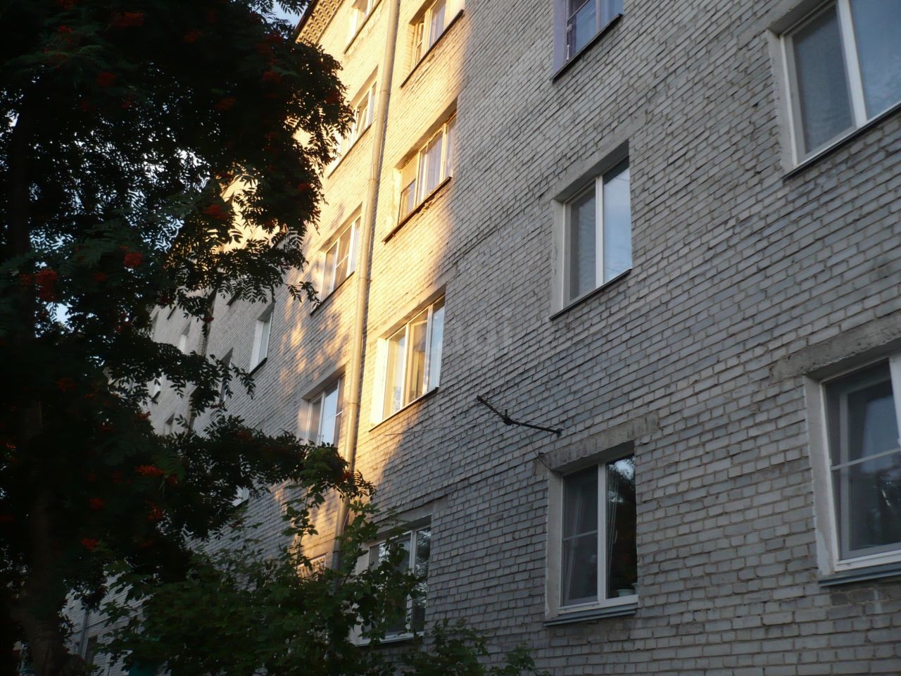 обл. Курганская, г. Курган, ул. Урицкого, д. 77-фасад здания