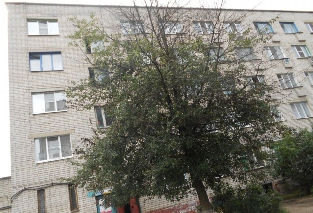 обл. Курская, г. Курск, ул. Союзная, д. 71-фасад здания