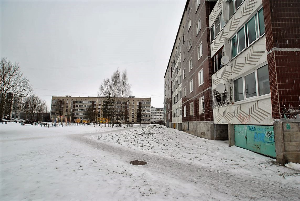 обл. Ленинградская, р-н. Волосовский, г. Волосово, ул. Красных Командиров, д. 10-придомовая территория