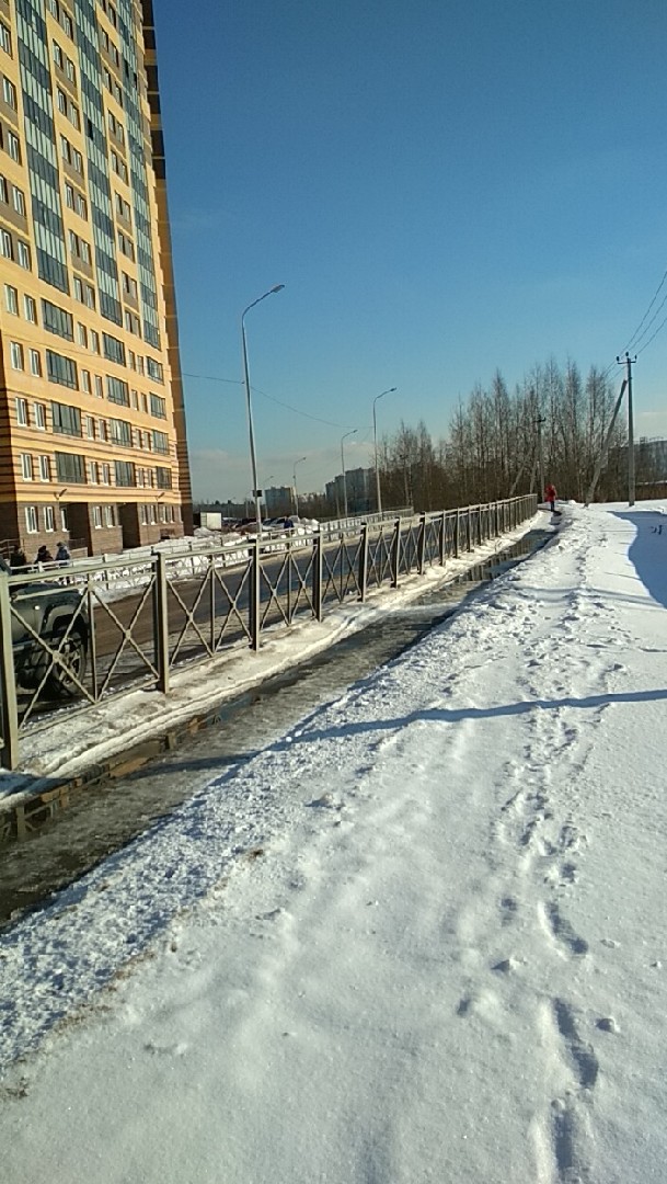 обл. Ленинградская, р-н. Всеволожский, п. Мурино, ул. Шоссе в Лаврики, д. 55-придомовая территория