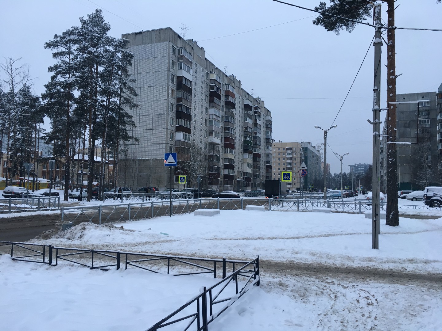 обл. Ленинградская, р-н. Всеволожский, г. Сертолово, ул. Молодцова, д. 15, к. 1-придомовая территория