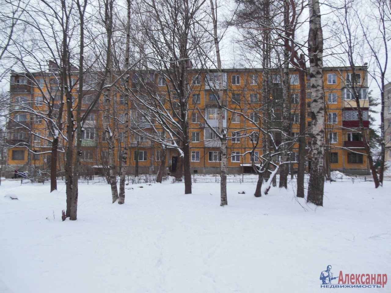 обл. Ленинградская, р-н. Всеволожский, г. Сертолово, мкр. Черная Речка, д. 11-фасад здания