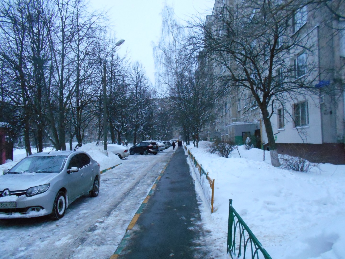 обл. Московская, г. Балашиха, ул. 40 лет Победы, д. 3-придомовая территория