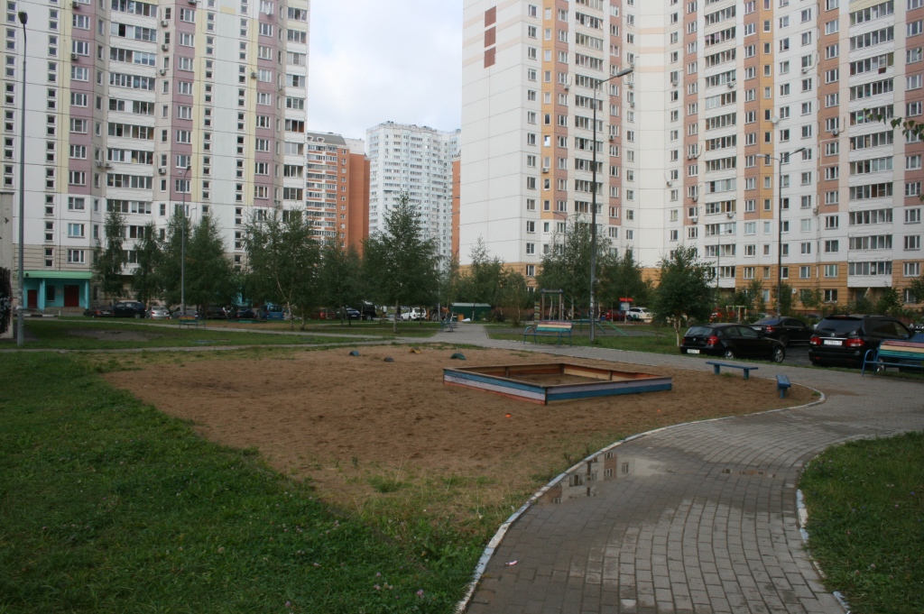 обл. Московская, г. Балашиха, ул. 40 лет Победы, д. 29-придомовая территория