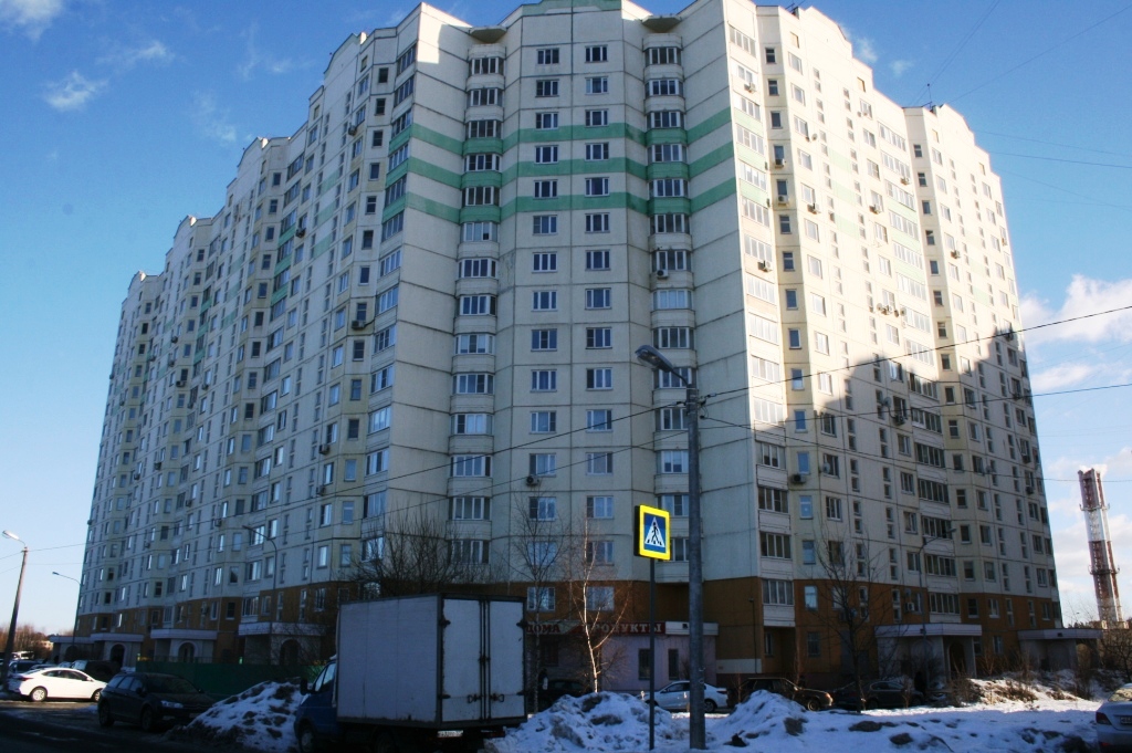 обл. Московская, г. Балашиха, ул. Трубецкая, д. 110-фасад здания