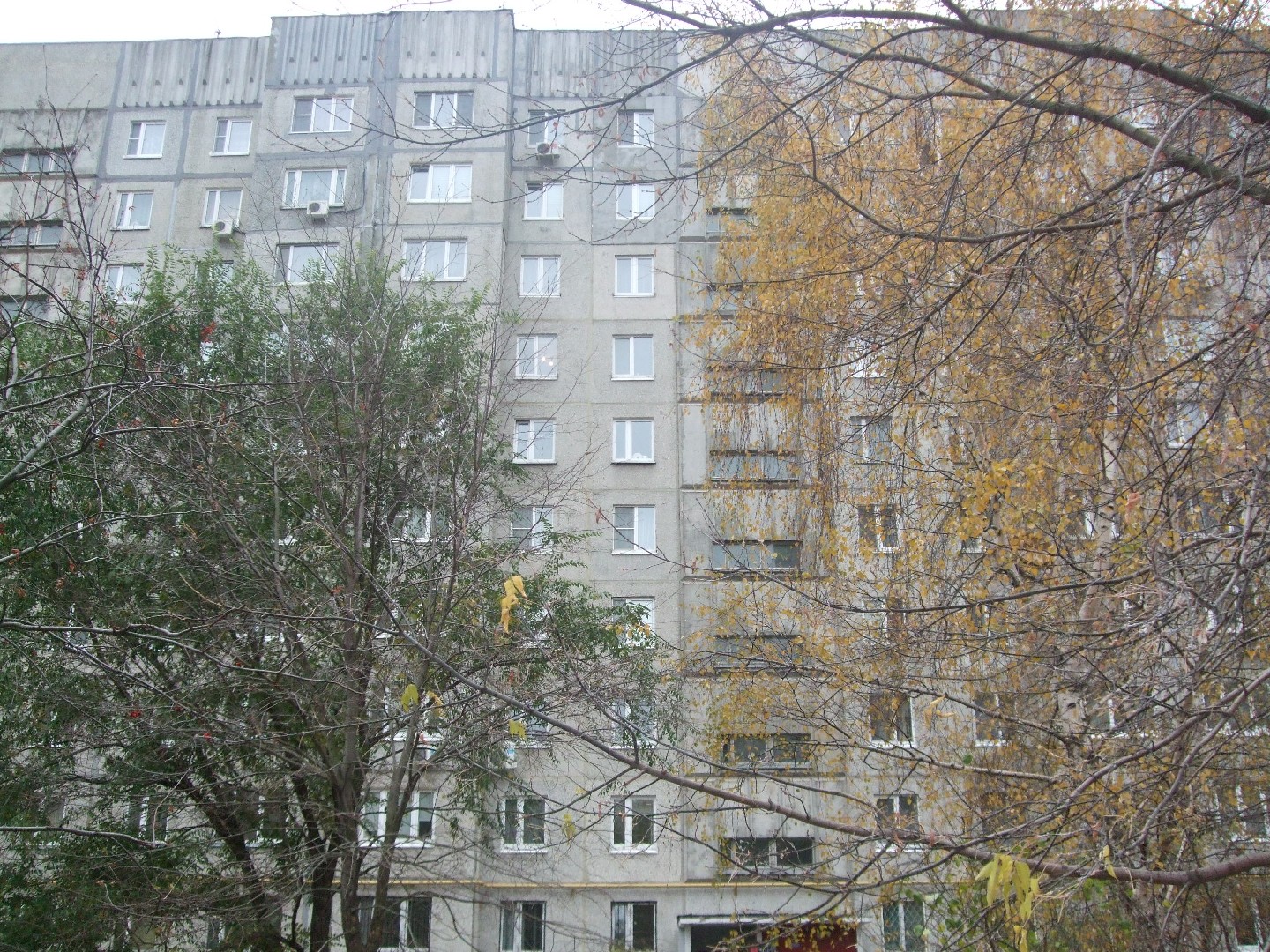 обл. Московская, г. Жуковский, ул. Левченко, д. 14-фасад здания