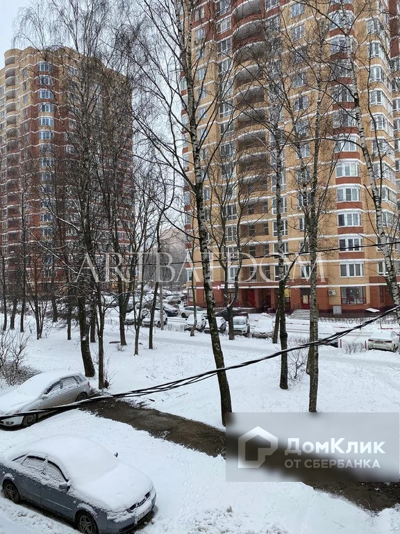 обл. Московская, г. Ивантеевка, ул. Хлебозаводская, д. 37-придомовая территория