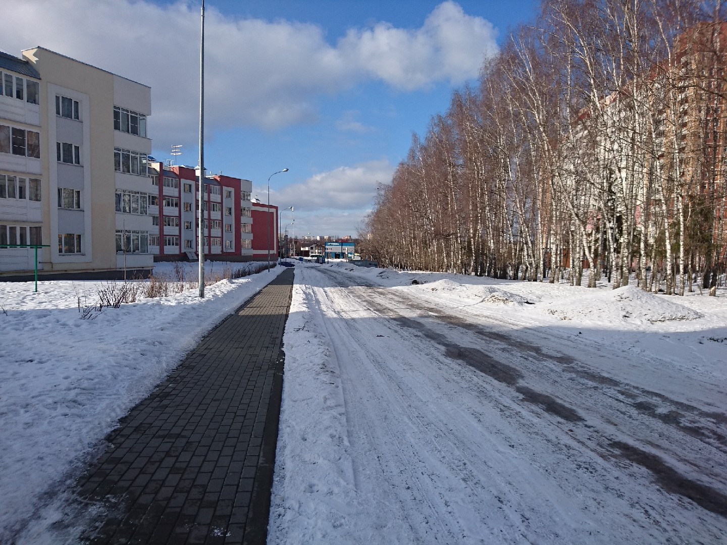 обл. Московская, р-н. Истринский, д. Черная, ул. Тенистая, д. 6-придомовая территория