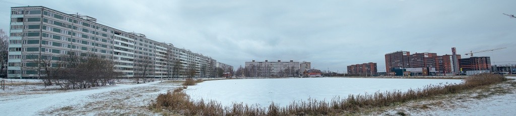 обл. Московская, р-н. Клинский, г. Клин, ул. Чайковского, д. 66, к. 1-придомовая территория