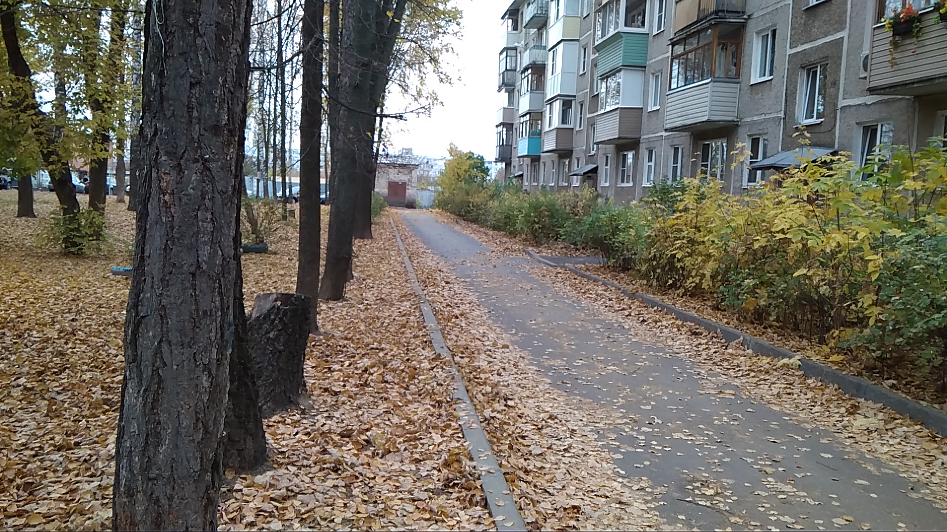 обл. Московская, г. Коломна, ул. Макеева, д. 6-придомовая территория