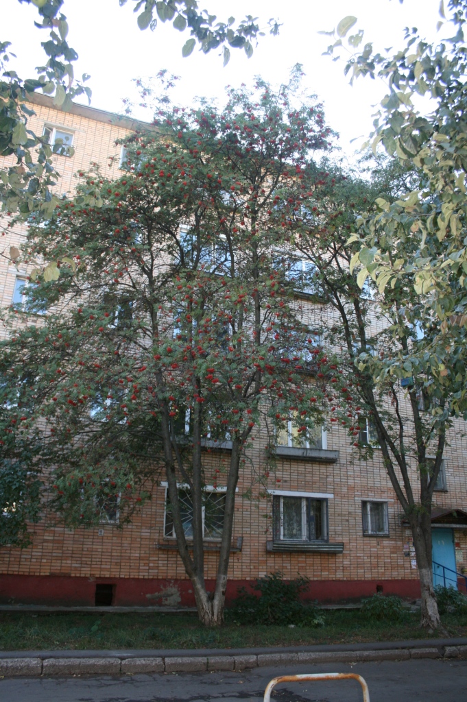 обл. Московская, г. Коломна, ул. Пионерская, д. 33-фасад здания