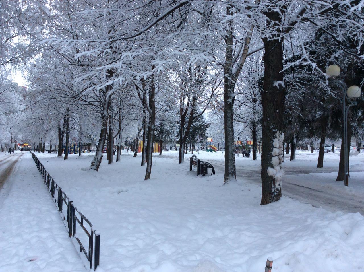 обл. Московская, г. Коломна, ул. Пионерская, д. 50, к. а-придомовая территория