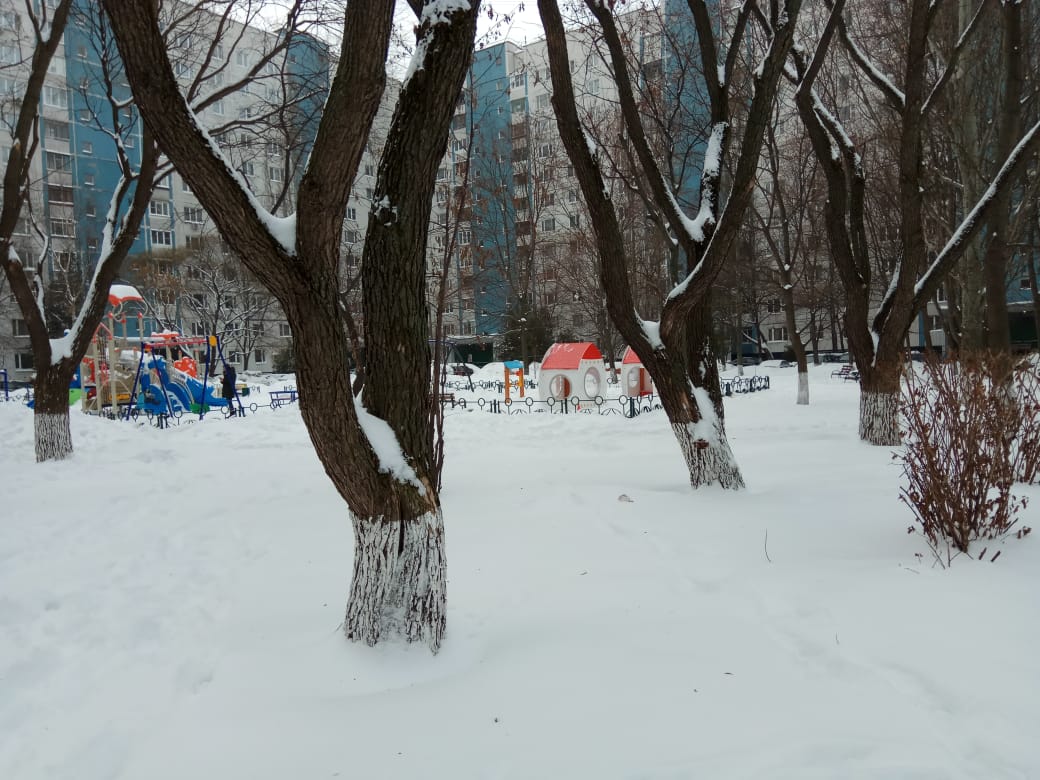 обл. Московская, г. Королев, пр-кт. Космонавтов, д. 26-придомовая территория