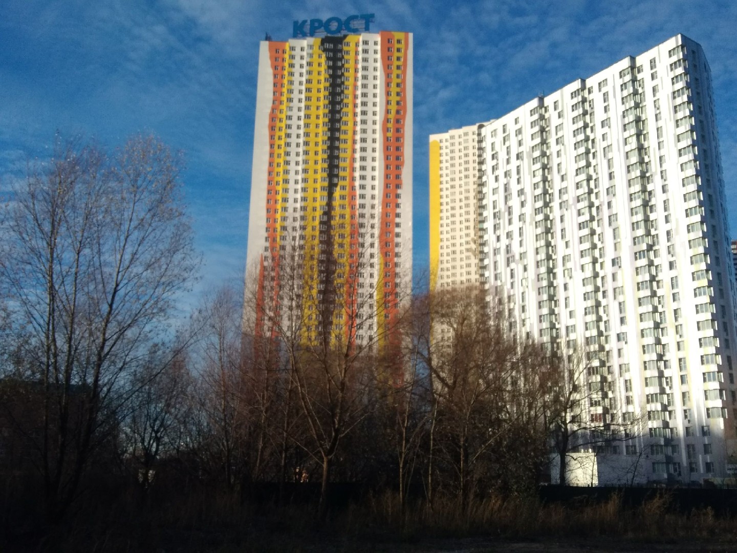 обл. Московская, р-н. Красногорский, г. Красногорск, ул. Авангардная, д. 10-фасад здания