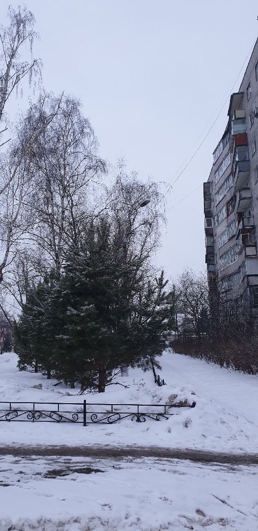 обл. Московская, г. Лосино-Петровский, ул. Суворова, д. 11-придомовая территория