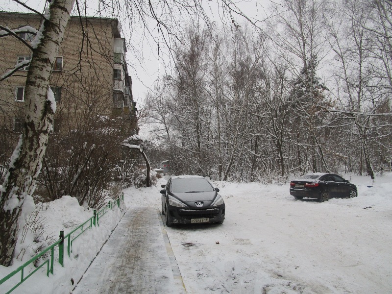 обл. Московская, р-н. Люберецкий, п. Малаховка, ул. Калинина, д. 29/3А-придомовая территория