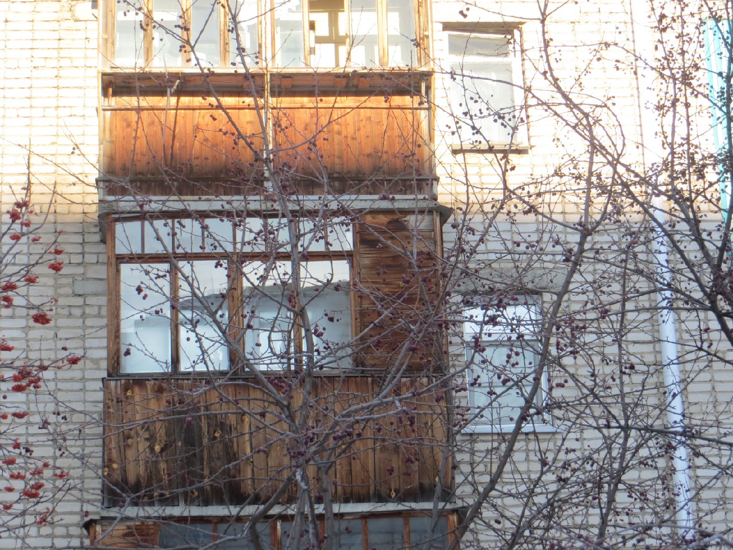 край. Алтайский, г. Бийск, ул. Гоголя, д. 210-фасад здания