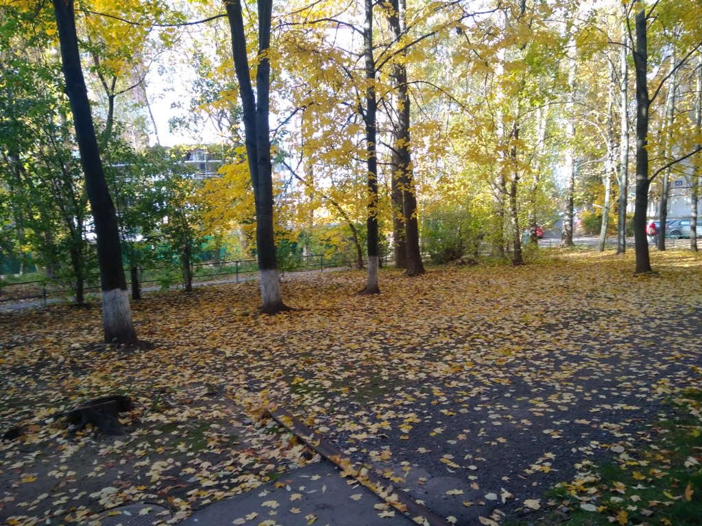 обл. Московская, р-н. Одинцовский, г. Одинцово, б-р. Любы Новоселовой, д. 2 корп. 1-придомовая территория