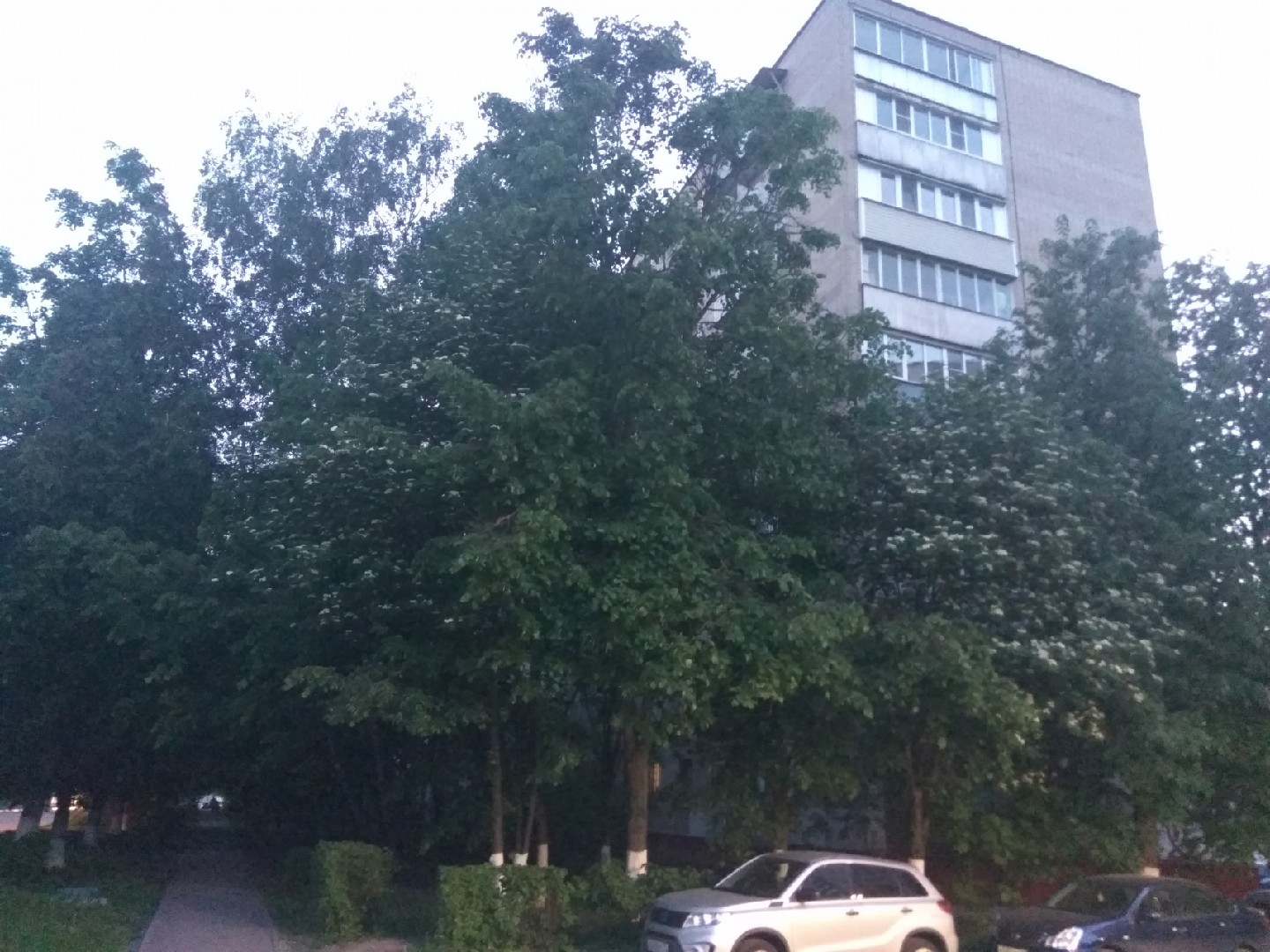обл. Московская, г. Подольск, ул. Филиппова, д. 2-фасад здания