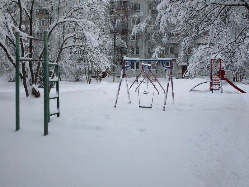 обл. Московская, р-н. Пушкинский, г. Пушкино, мкр. Мамонтовка, ул. Гоголевская, д. 8-придомовая территория