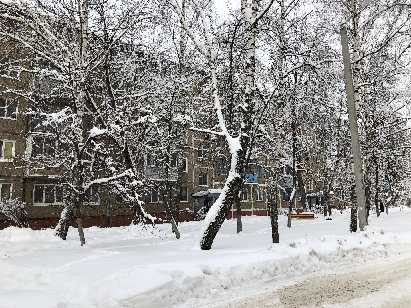 обл. Московская, р-н. Раменский, г. Раменское, ул. Космонавтов, д. 26-придомовая территория