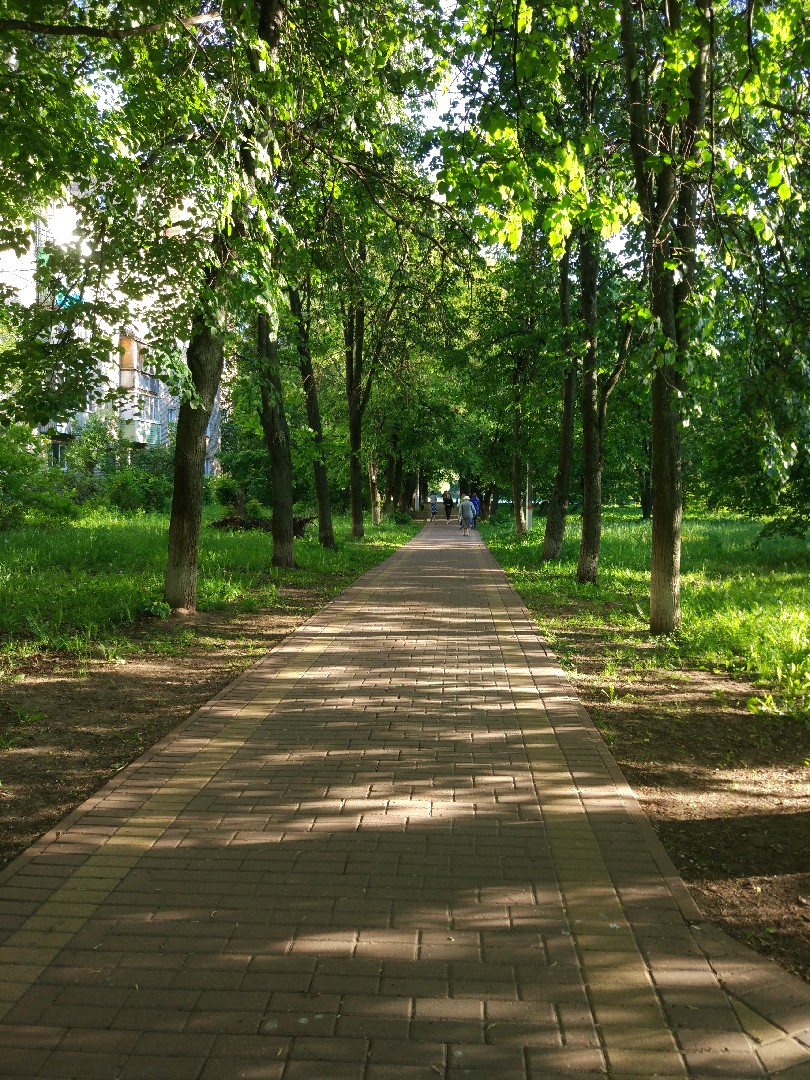 обл. Московская, р-н. Раменский, г. Раменское, ул. Красноармейская, д. 26, стр. 1-придомовая территория