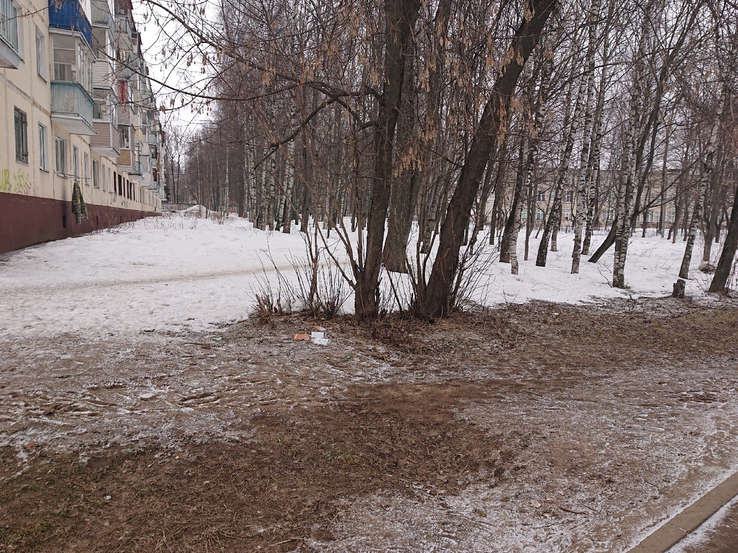 обл. Московская, р-н. Сергиево-Посадский, г. Сергиев Посад, ул. Дружбы, д. 4-придомовая территория