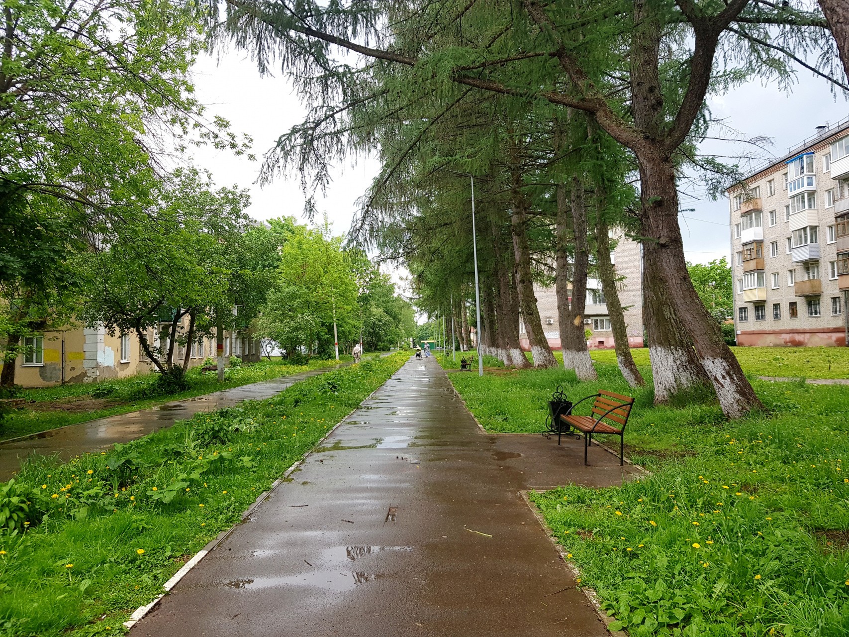 обл. Московская, р-н. Сергиево-Посадский, г. Сергиев Посад, ул. К.Либкнехта, д. 2, к. 16-придомовая территория