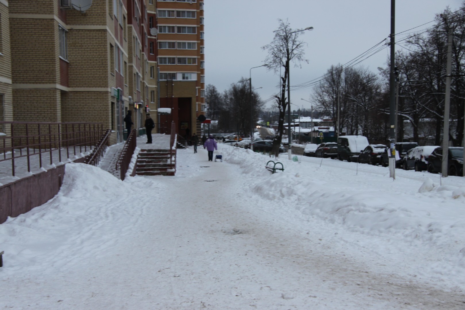 обл. Московская, р-н. Солнечногорский, рп. Андреевка, ул. Староандреевская, д. 43, к. 1-придомовая территория