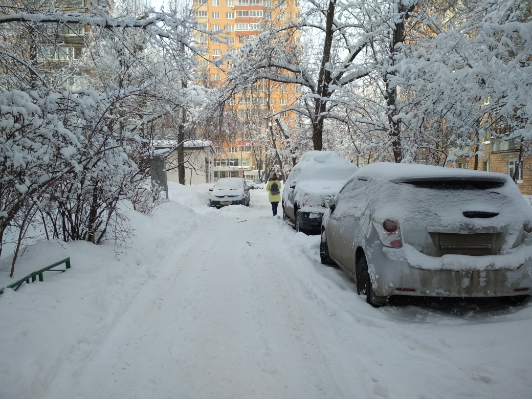 обл. Московская, г. Химки, ул. Кирова, д. 7-придомовая территория