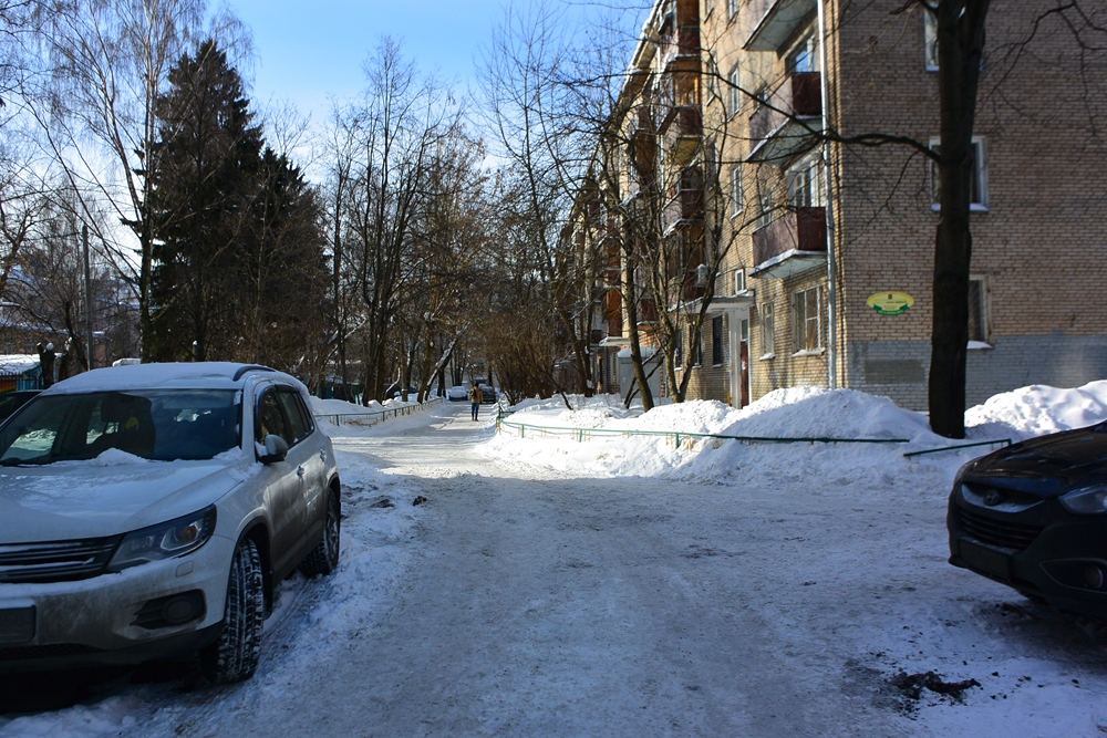 обл. Московская, г. Химки, ул. Московская, д. 24а-придомовая территория