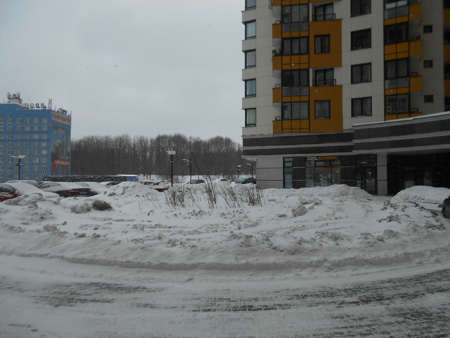 обл. Московская, г. Химки, ул. Юннатов, д. 11-придомовая территория