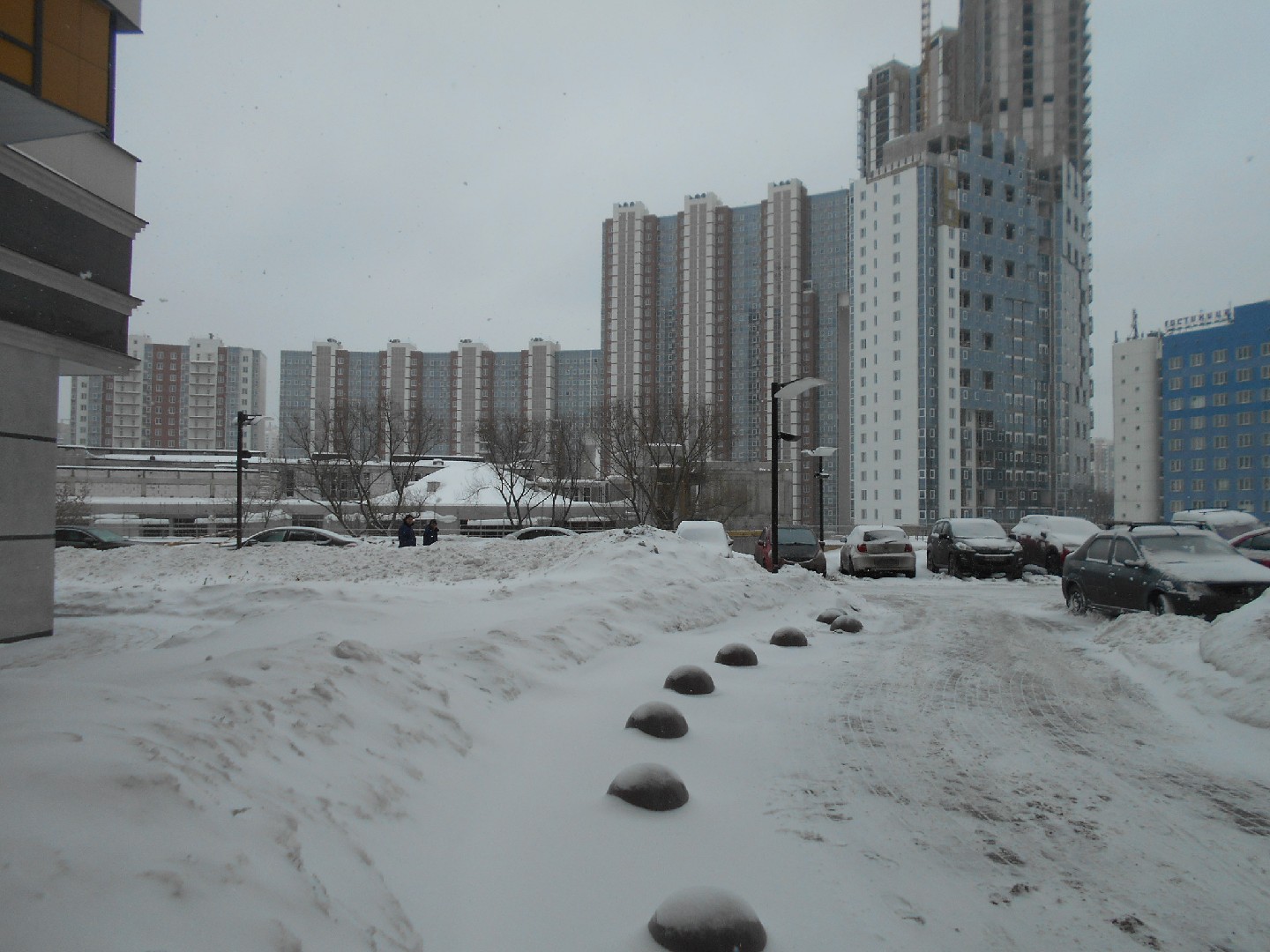 обл. Московская, г. Химки, ул. Юннатов, д. 11-придомовая территория