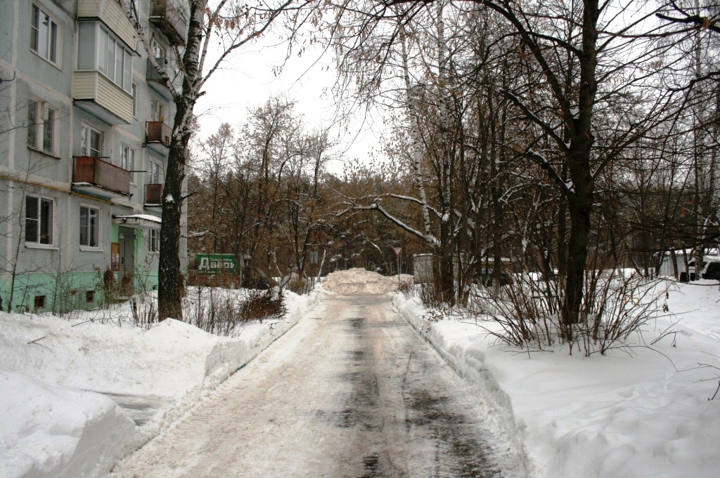 обл. Московская, р-н. Щелковский, г. Щелково, ул. Беляева, д. 31-придомовая территория