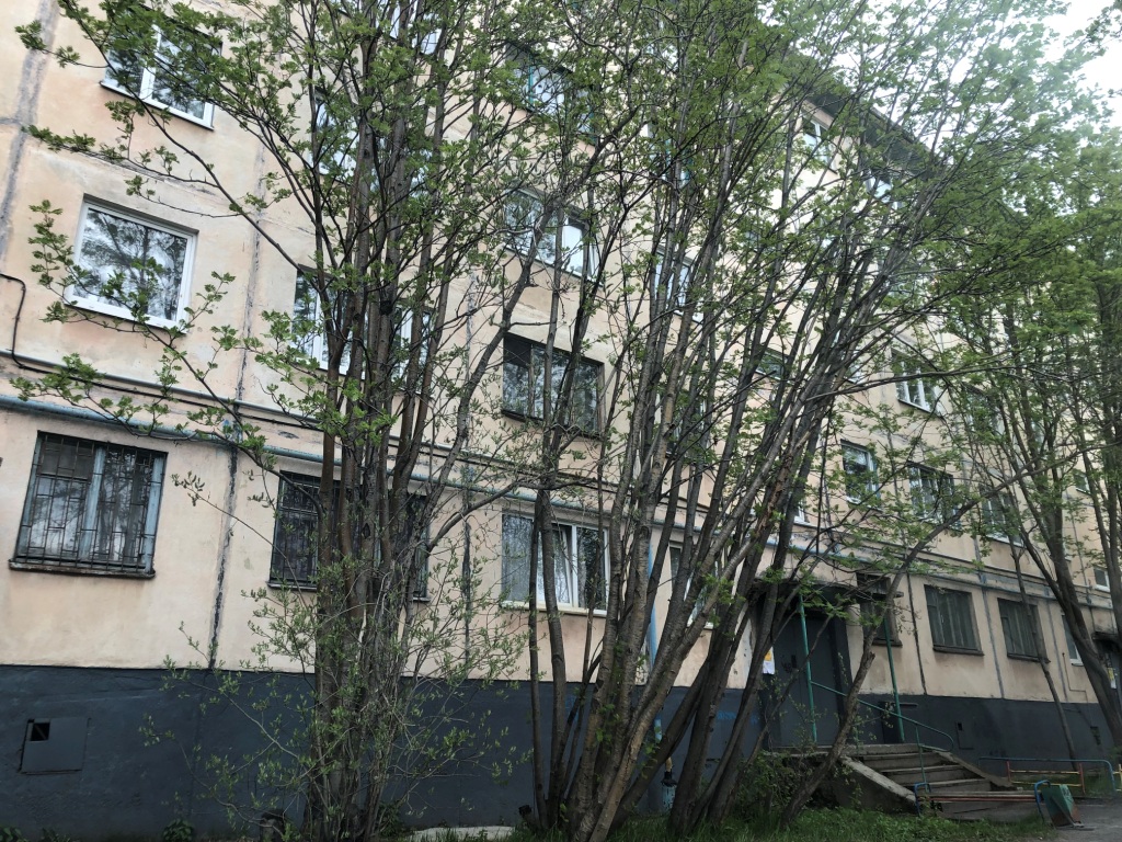 обл. Мурманская, г. Мурманск, ул. Книповича, д. 65-фасад здания