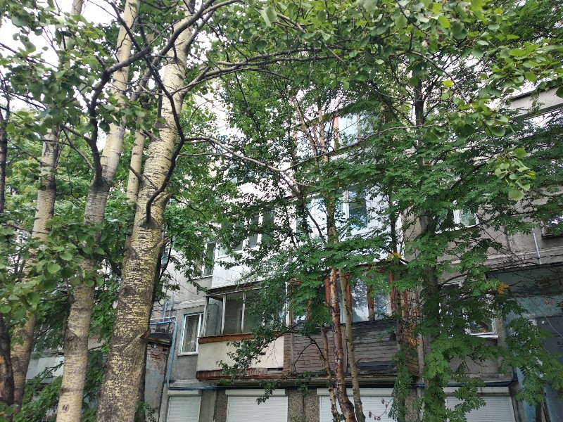 обл. Мурманская, г. Мурманск, ул. Лобова, д. 9-фасад здания