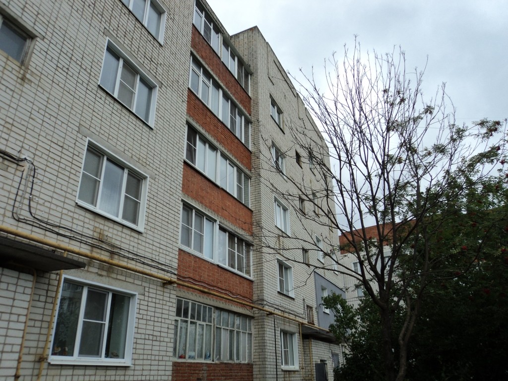 обл. Нижегородская, г. Арзамас, ул. Володарского, д. 114-фасад здания