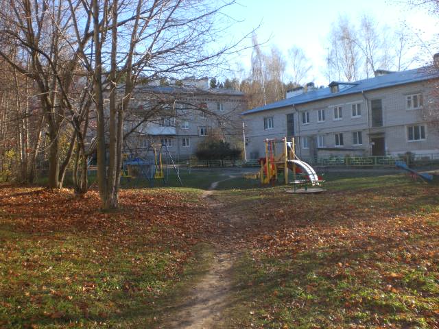 обл. Нижегородская, р-н. Богородский, г. Богородск, ул. Минина, д. 1 б-придомовая территория