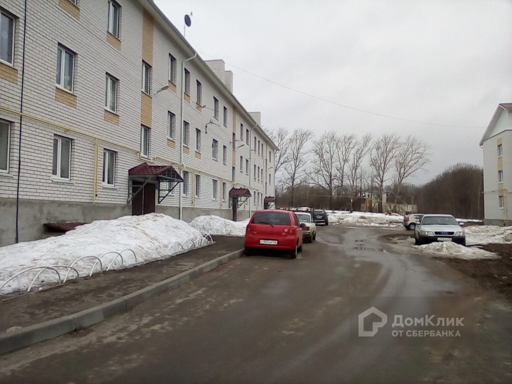 обл. Нижегородская, р-н. Богородский, с. Дуденево, ул. Лесная, д. 31-придомовая территория