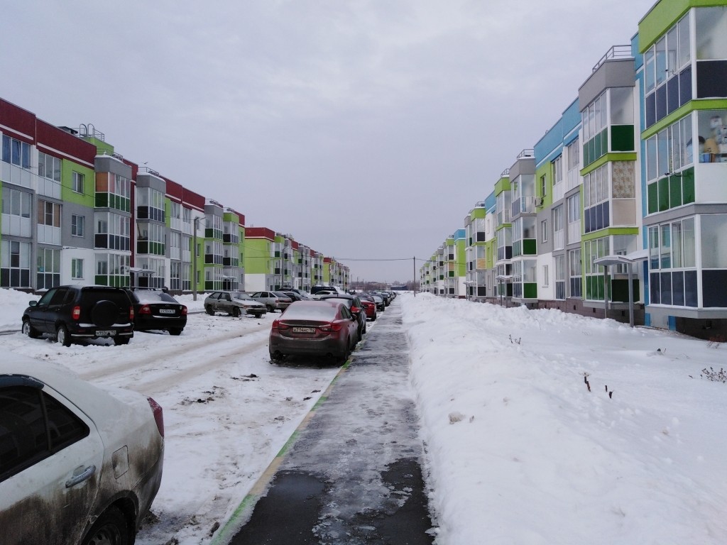 обл. Нижегородская, р-н. Богородский, п. Новинки, ул. Центральная, д. 21-придомовая территория