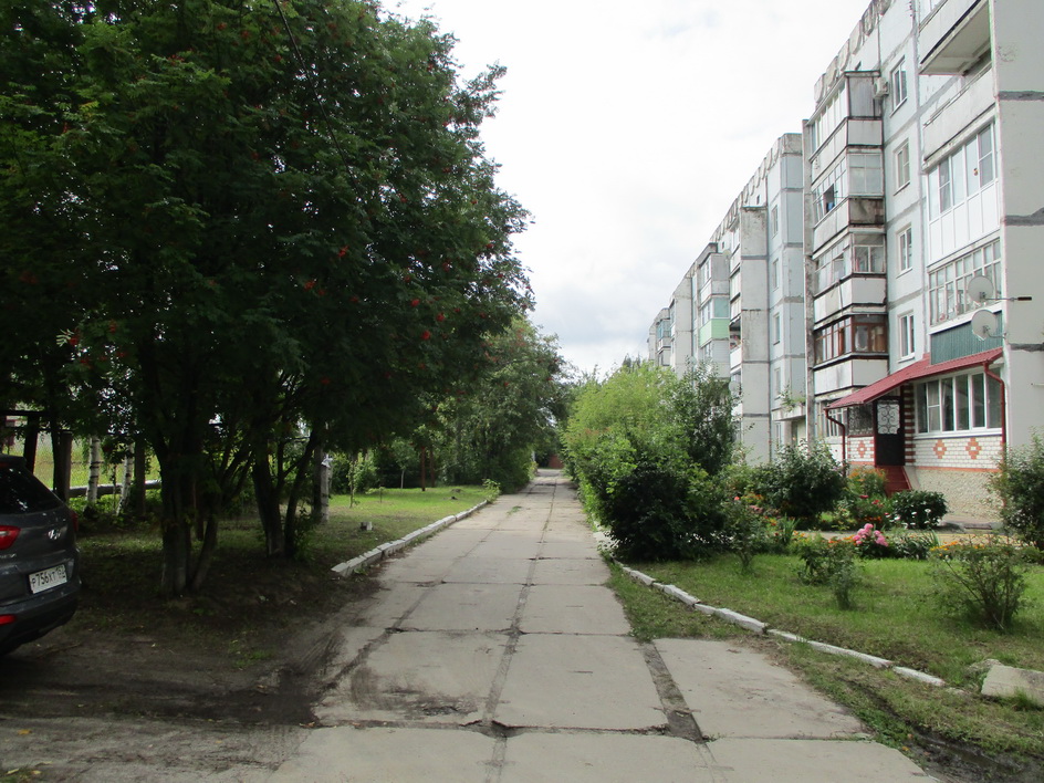 обл. Нижегородская, р-н. Городецкий, г. Городец, ул. С.Лазо, д. 12-придомовая территория