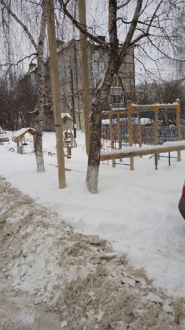 обл. Нижегородская, р-н. Городецкий, г. Городец, ул. Шлюзовая, д. 15-придомовая территория