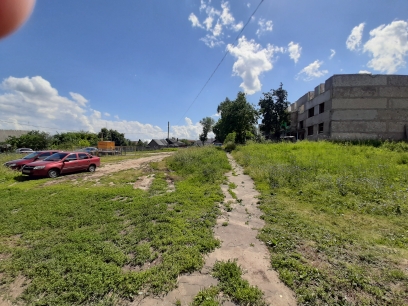 обл. Нижегородская, р-н. Дальнеконстантиновский, с. Богоявление, ул. Шоссейная, д. 33-придомовая территория