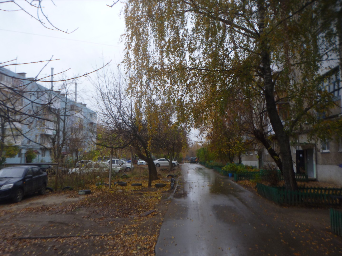 обл. Нижегородская, г. Дзержинск, пр-кт. Ленина, д. 2б-придомовая территория