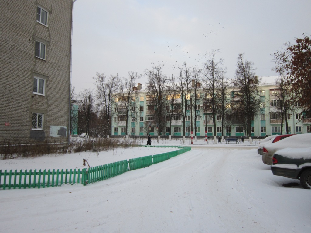 обл. Нижегородская, г. Дзержинск, пр-кт. Ленина, д. 44а-придомовая территория