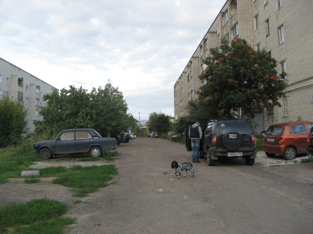 обл. Нижегородская, р-н. Павловский, г. Павлово, ул. Высокая, д. 32-придомовая территория