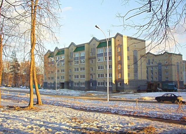 обл. Нижегородская, г. Саров, ул. Берёзовая, д. 4-фасад здания