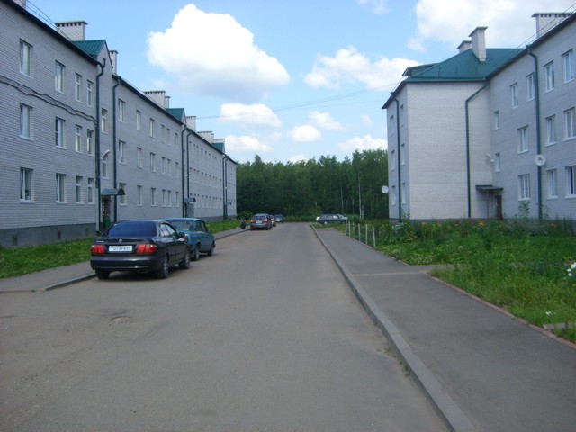 обл. Новгородская, р-н. Валдайский, г. Валдай, ул. Песчаная, д. 28-придомовая территория